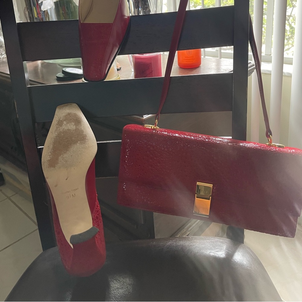 J.Renee’ Purse and Shoe set